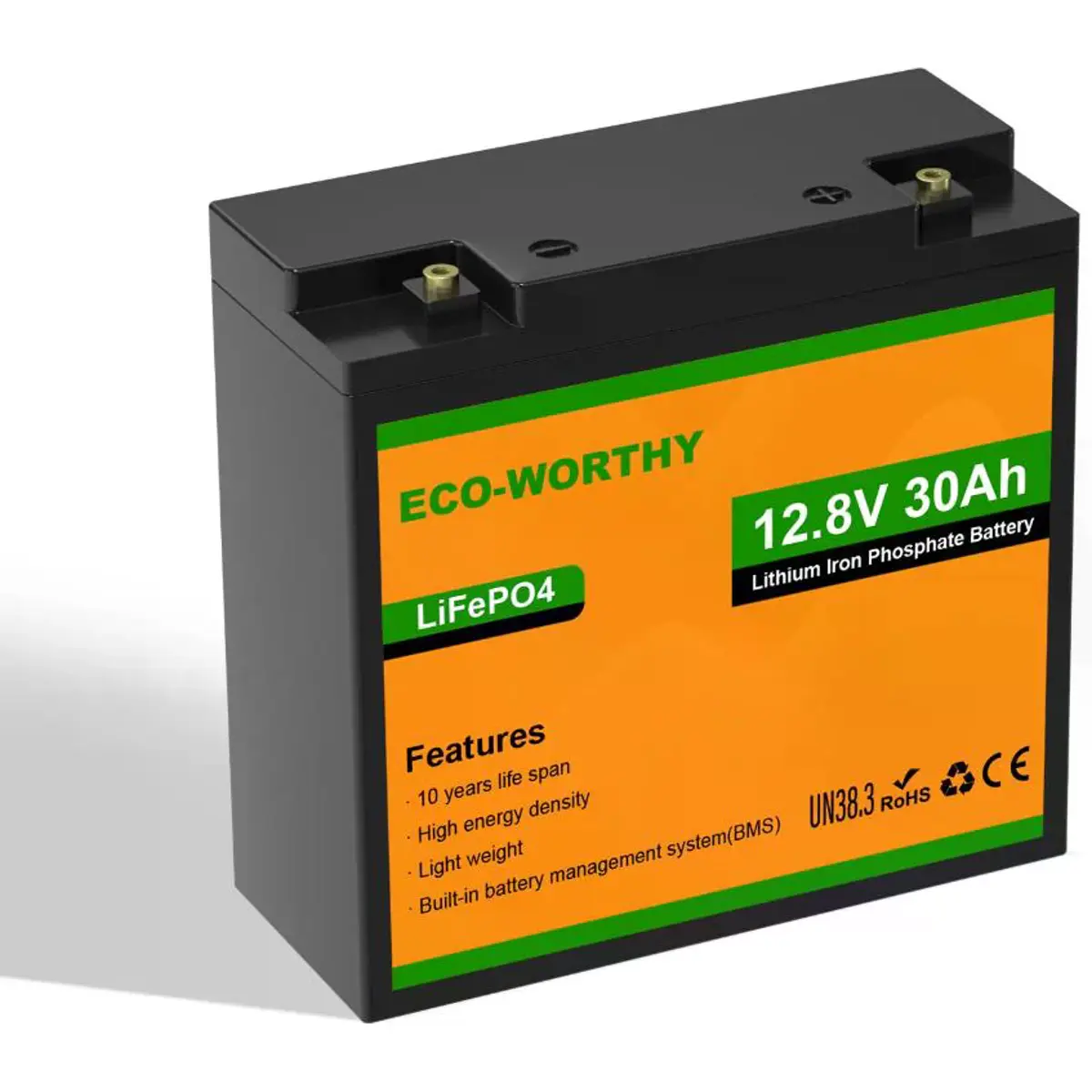 Bateria de Lithium (LiFePO4) BMS 12.8V 30Ah (360Wh)