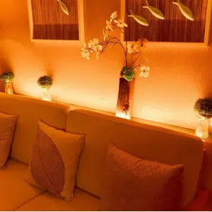 Fita de 200 LEDs RGB+W inteligente Wi-Fi 24VDC/3.2A (7,5W) - 2.0m