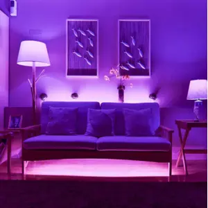 Fita de 200 LEDs RGB+W inteligente Wi-Fi 24VDC/3.2A (7,5W) - 2.0m