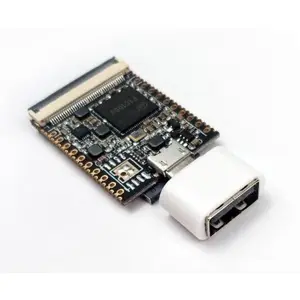 Placa de desenvolvimento LicheePi Nano ARM926EJS SoC - 16M Flash