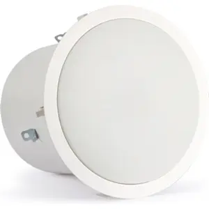 Altavoz de techo subwoofer.