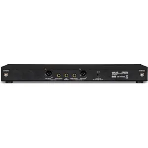 Microfone sem fios duplo de mão UHF