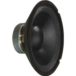 Altifalante 10" para graves woofer. 250 W máximo, 125 W RMS.