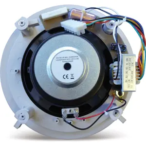 Coluna de teto subwoofer