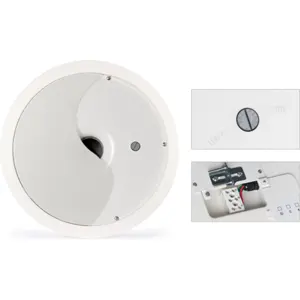 Altavoz de techo subwoofer.
