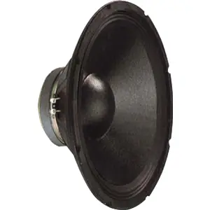 Altifalante 12" para graves woofer. 350 W máximo, 175 W RMS.