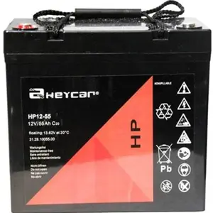 Batería AGM 12 V 55 Ah