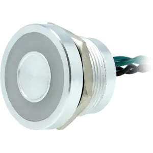 Botão interruptor piezoeléctrico anti-vandalismo unipolar SPST-NO OFF-(ON) 24VAC 0.2A - prateado - com luz verde em anel