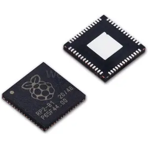 Circuito Integrado - Microcontrolador RP2040