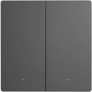 Interruptor duplo (2 Gang) Smart WiFi de encastrar