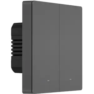Interruptor duplo (2 Gang) Smart WiFi de encastrar