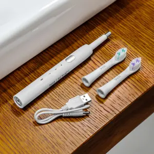Escova de dentes elétrica (3 modos) c/ 2 cabeças - 320mAh (5V-USB)