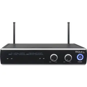 Sistema de 2x microfones de mão sem fios com receptor UHF de 2 canais