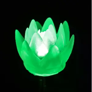 Conjunto de 5 LEDs (3V DC) - Suculenta Verde
