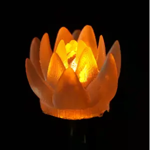 Conjunto de 5 LEDs (2V DC) - Suculenta amarela