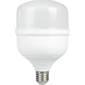 Lâmpada LED E27 industrial 230V 42W 5000K (branco frio) 4800lm