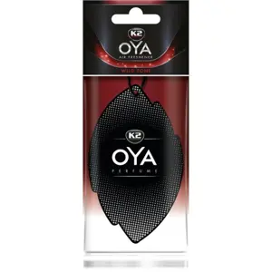 Ambientador para coche (Oriental)