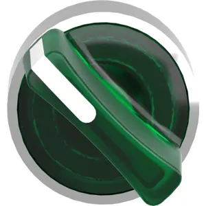 Cabeça de interruptor selector rotativo iluminado da série Harmony XB4 Ø22mm - 2 posições (estáveis) - verde