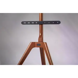 Soporte de suelo para TV de 42'' a 65'' (106 a 165cm)