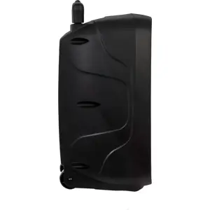 Coluna Amplificada Portátil 100W com leitor de Bluetooth+USB+microSD+FM+LINE c/ microfone e comando