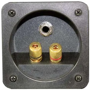 Coluna de som 8'' 300W trapezoidal de 2 vias