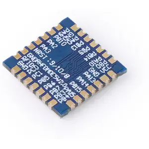 Módulo LoRa Wio-E5 com MCU STM32WLE5JC e rádio SX126X para IoT de longo alcance