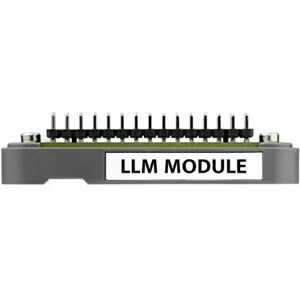 Kit Modular com LLM Offline, Ethernet e Suporte para KWS/TTS/ASR