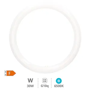 Bombillas circulares