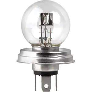 Lâmpada halogéneo R2 P45t 12V 45/40W