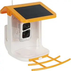 Alimentador de pássaros inteligente WiFi Solar c/ câmara 2Mpx 95º + Áudio