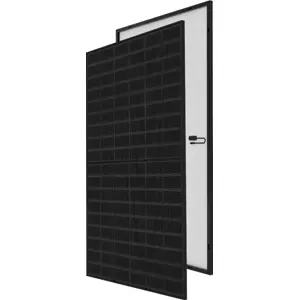 095-9732