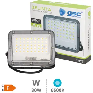 Projetor de alumínio LED 30W 6500K IP65 Preto 3000lm