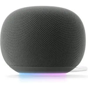 Coluna Inteligente Google - Cinza