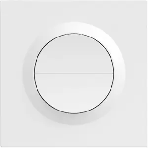 Interruptor de parede inteligente duplo (2 Gang) Zigbee 110-240V~ 10A