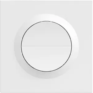Interruptor de parede inteligente duplo (2 Gang) Wi-Fi Matter 110-240V~ 10A