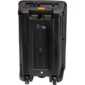 Coluna amplificada portátil 120W c/ USB/BT/SD/AUX + microfone c/ fio - iluminação RGB