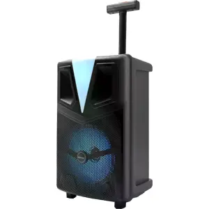 Coluna amplificada portátil 120W c/ USB/BT/SD/AUX + microfone c/ fio - iluminação RGB