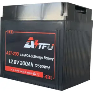 Batería de Lithium (LiFePO4) BMS con Bluetooth - 12,8V 200A (2560Wh)